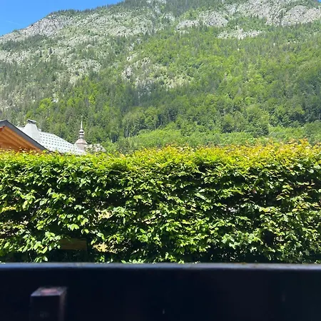 Apartment Confortable Centre-ville